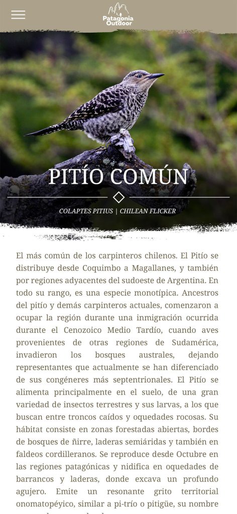 patagonia-section3-3